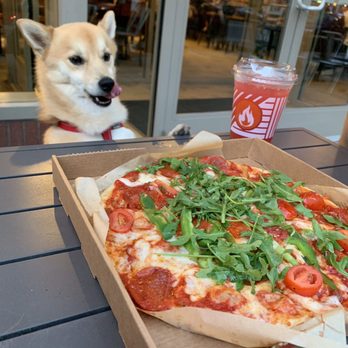 Blaze Pizza and a Dog