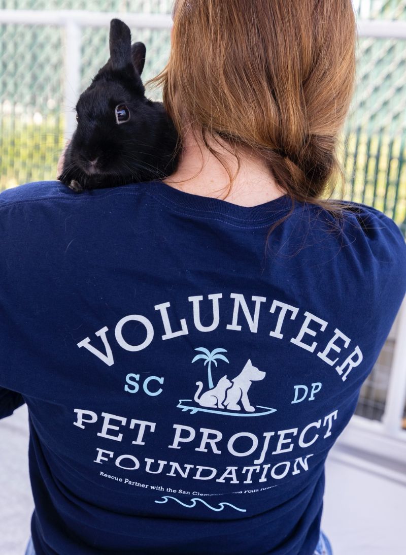 PPF Homepage Volunteer Bunny