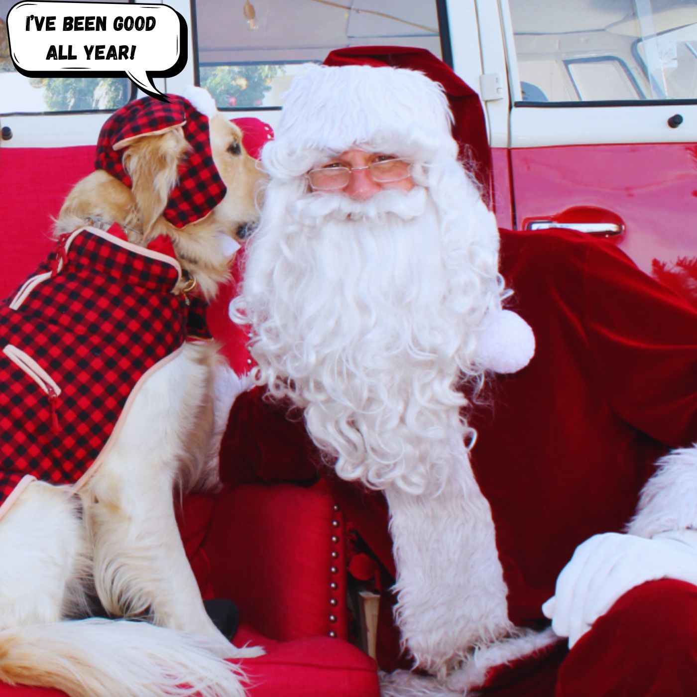 PPF_SantaPaws24_Whisper