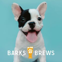 Barks, Brews & Boards Graphic