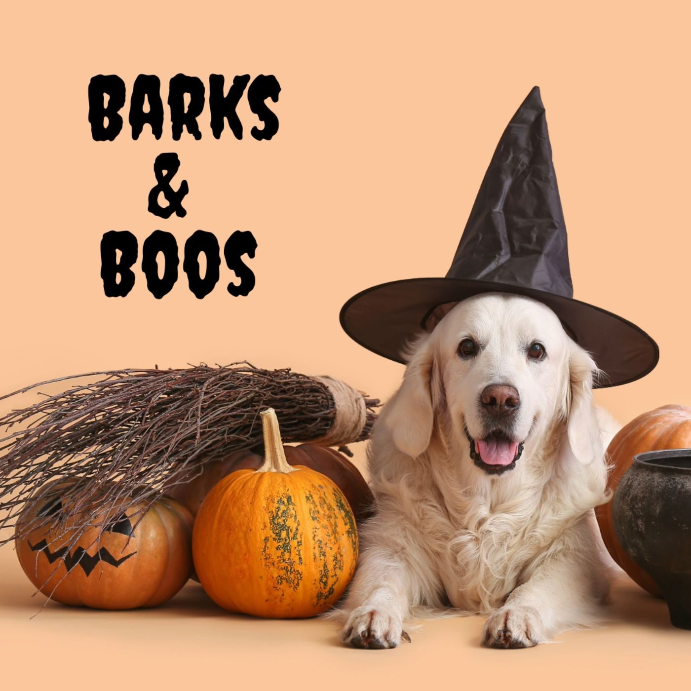 Barks&Boos