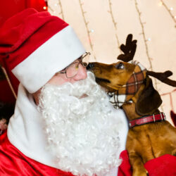 Dog Christmas Photo With Santa